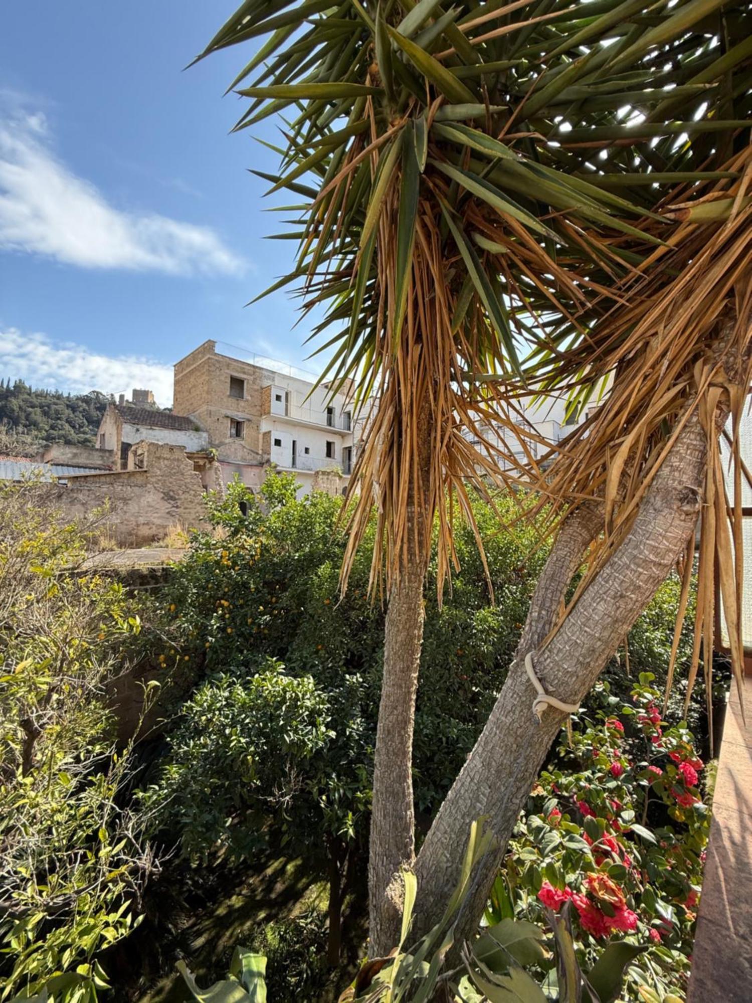 Ferienwohnung La Lanciolla Maddaloni Exterior foto